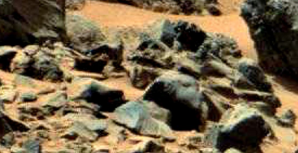 Sol-710-mars-rover-artifacts-harry-14-eel-frog-lion