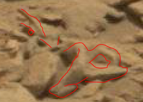 mars anomaly heads c sol 712 was life on mars