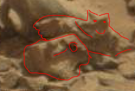 mars anomaly heads e sol 712 was life on mars