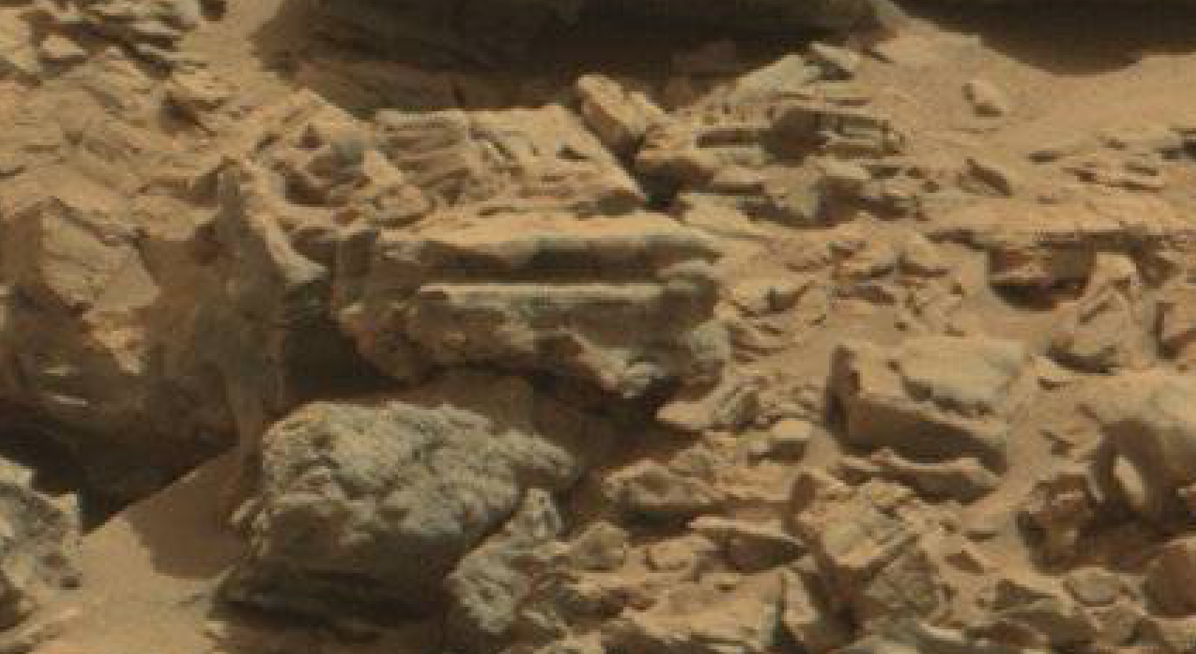 mars anomaly horse and other items sol 712 was life on mars