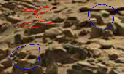 mars anomaly t shaped items sol 713 was life on mars