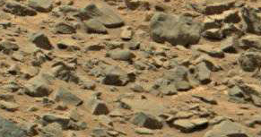 mars-sol-710-gale-crater-bull-fish