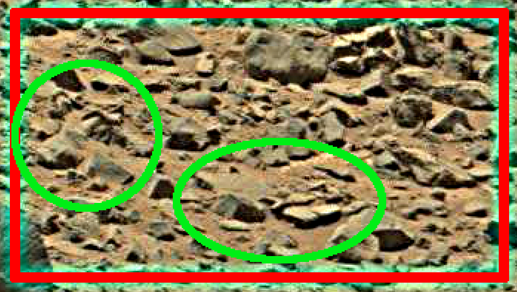 Mars anomalies - Turtle and Fish
