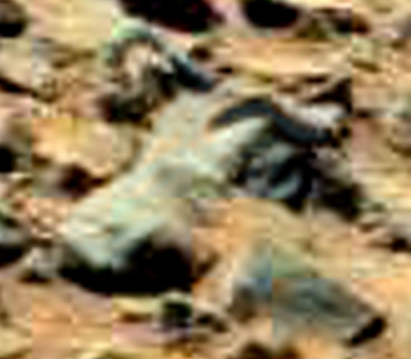 was-life-on-mars-highlighted-areas-enhanced-filter-zoomed-bull