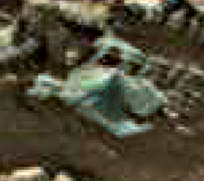 was-life-on-mars-highlighted-areas-enhanced-filter-zoomed-fish-like-image-colored
