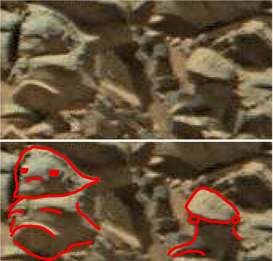 mars anomaly statues of creatures sbs sol 710 was life on mars
