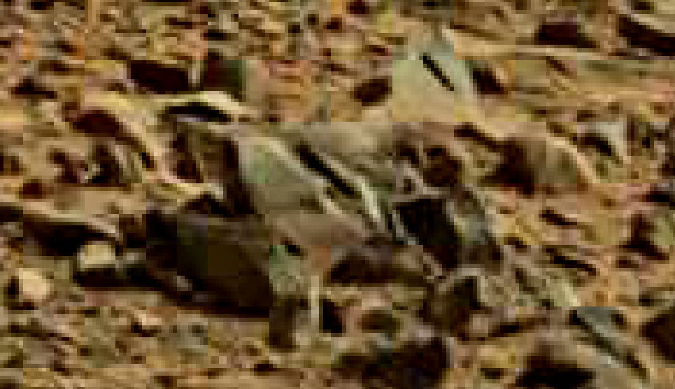 mars sol 714 anomaly artifacts 15 was life on mars