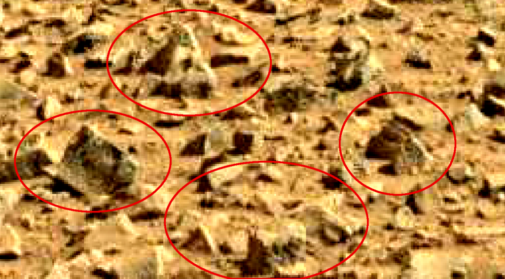mars sol 714 anomaly artifacts 2a was life on mars