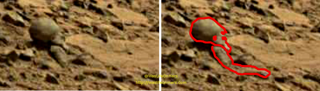 mars sol 714 anomaly artifacts alien 14 sbs1 was life on mars