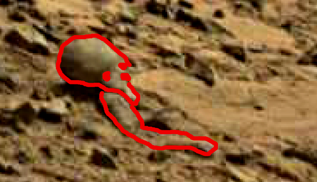 mars sol 714 anomaly artifacts alien 14a was life on mars