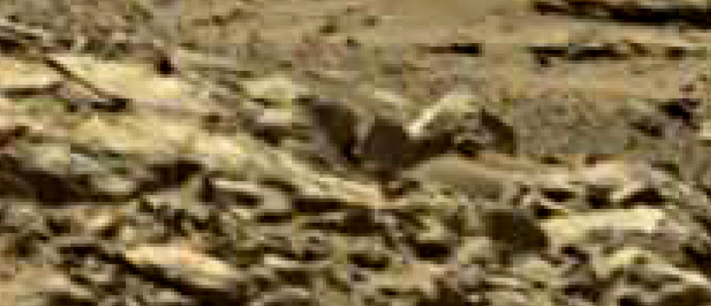 mars sol 1248 anomaly artifacts 14 was life on mars