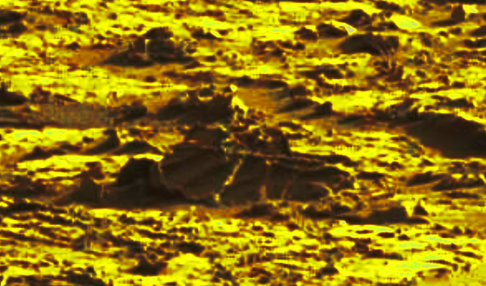 mars sol 1264 anomaly 1e was life on mars