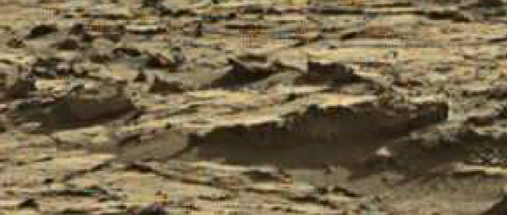 mars sol 1264 anomaly 2 was life on mars