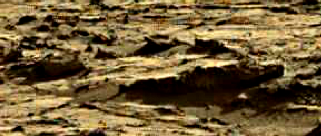 mars sol 1264 anomaly 2b was life on mars