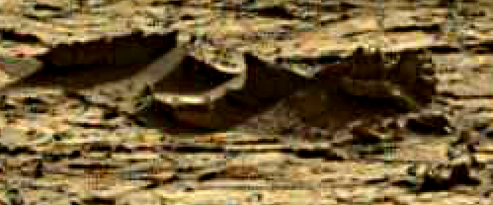 mars sol 1264 anomaly 7 was life on mars