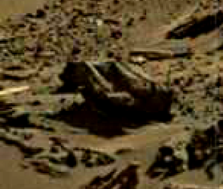 mars sol 1274 anomaly 2 was life on mars