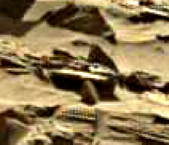 mars sol 1296 anomaly-artifacts 10 was life on mars