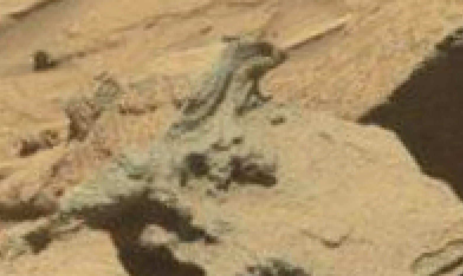 mars sol 1293 anomaly-artifacts 3a was life on mars
