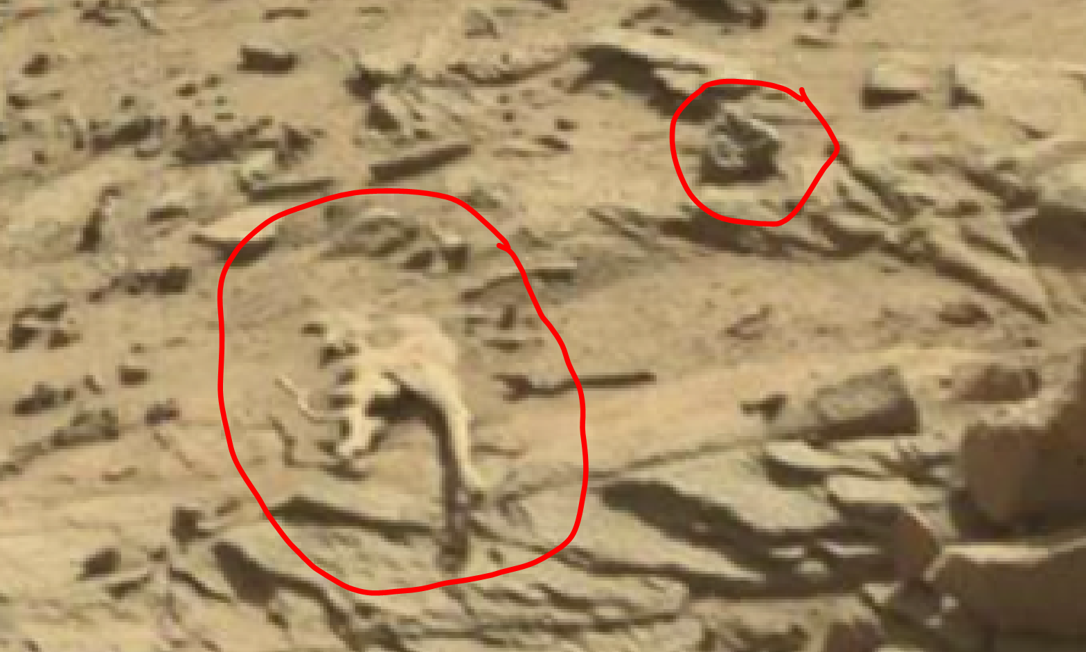 mars sol 1298 anomaly-artifacts 2a was life on mars