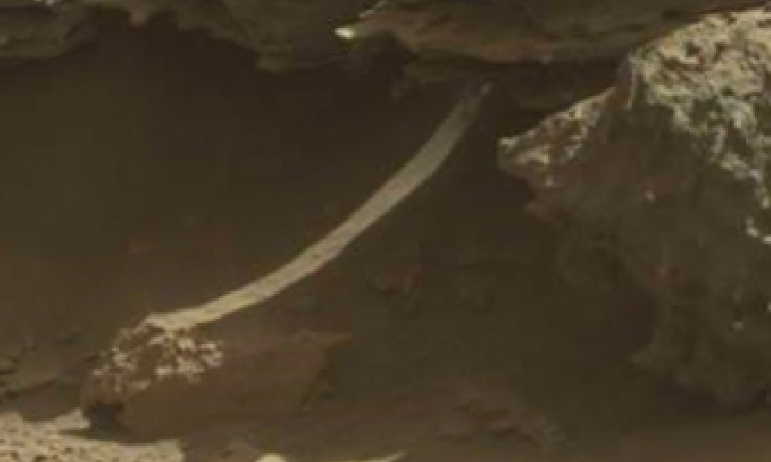 mars sol 1298 anomaly-artifacts 5 was life on mars