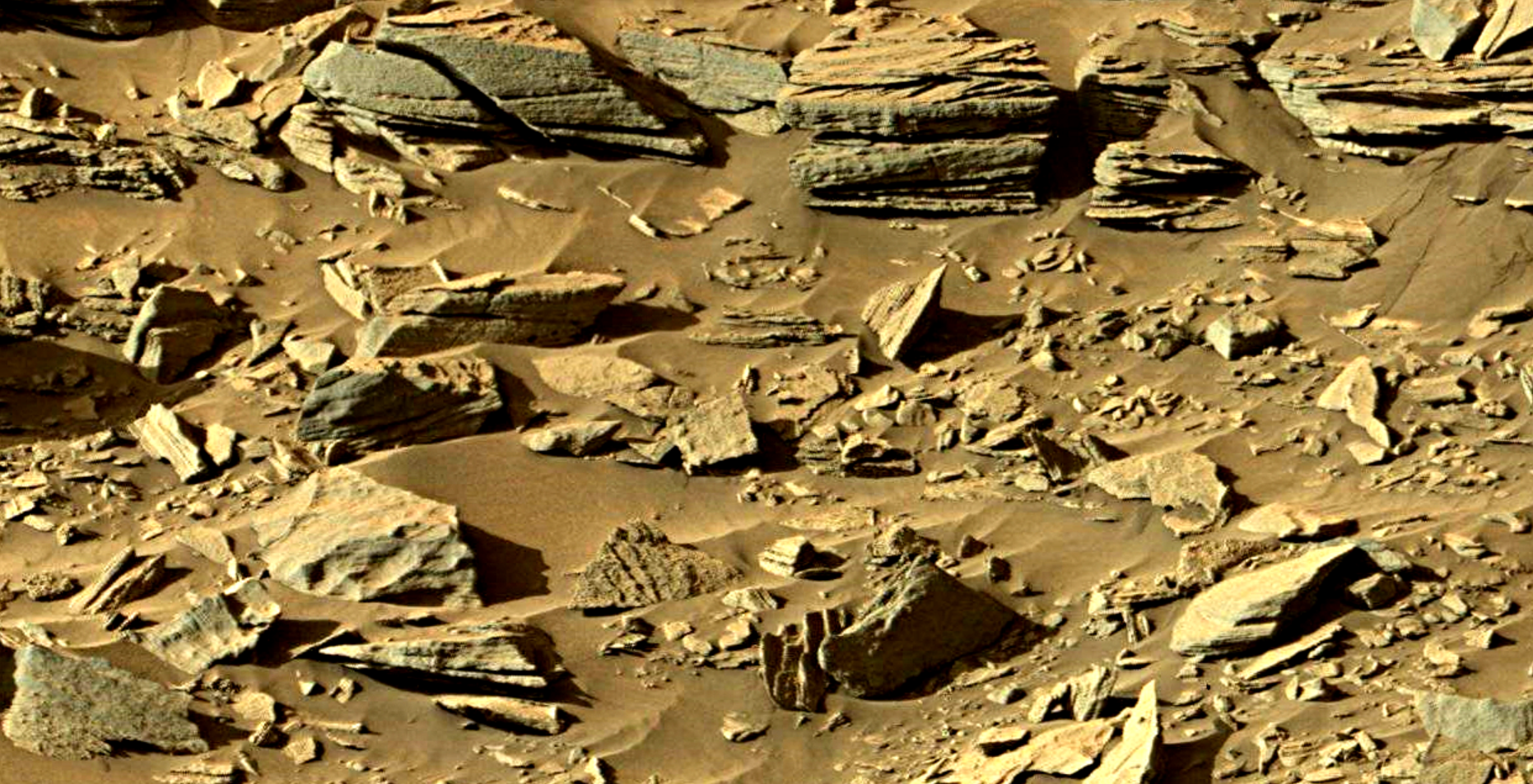 mars sol 1301 anomaly-artifacts 11 was life on mars