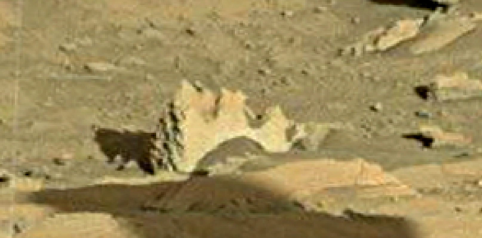 mars sol 1302 anomaly-artifacts 6 was life on mars