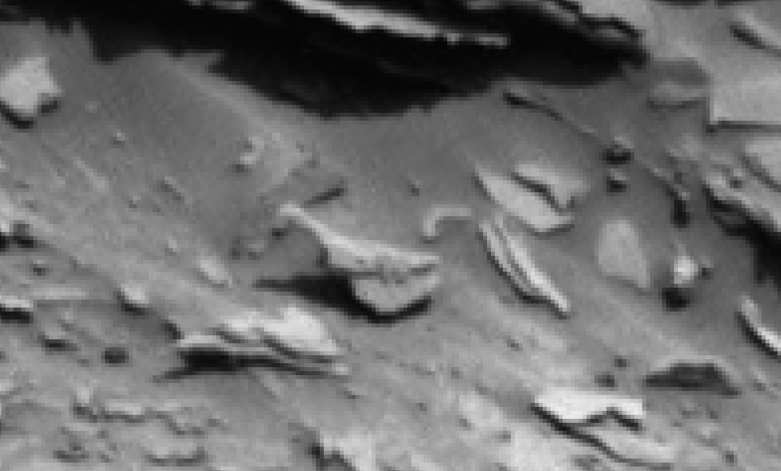 mars sol 1342 anomaly-artifacts 3 was life on mars