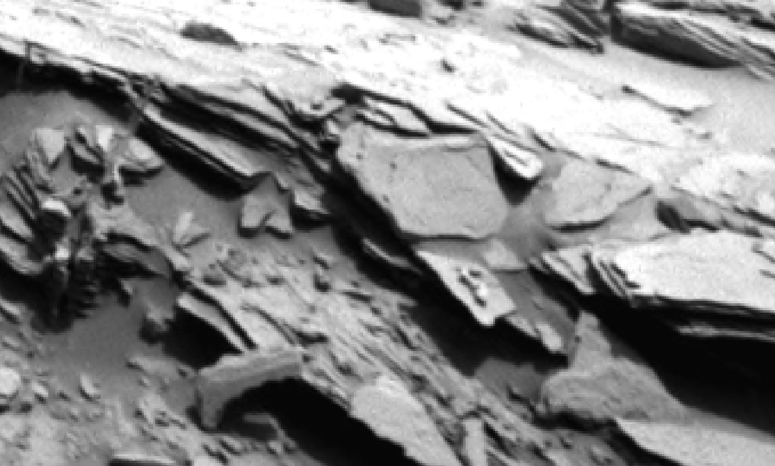 mars sol 1342 anomaly-artifacts 4 was life on mars