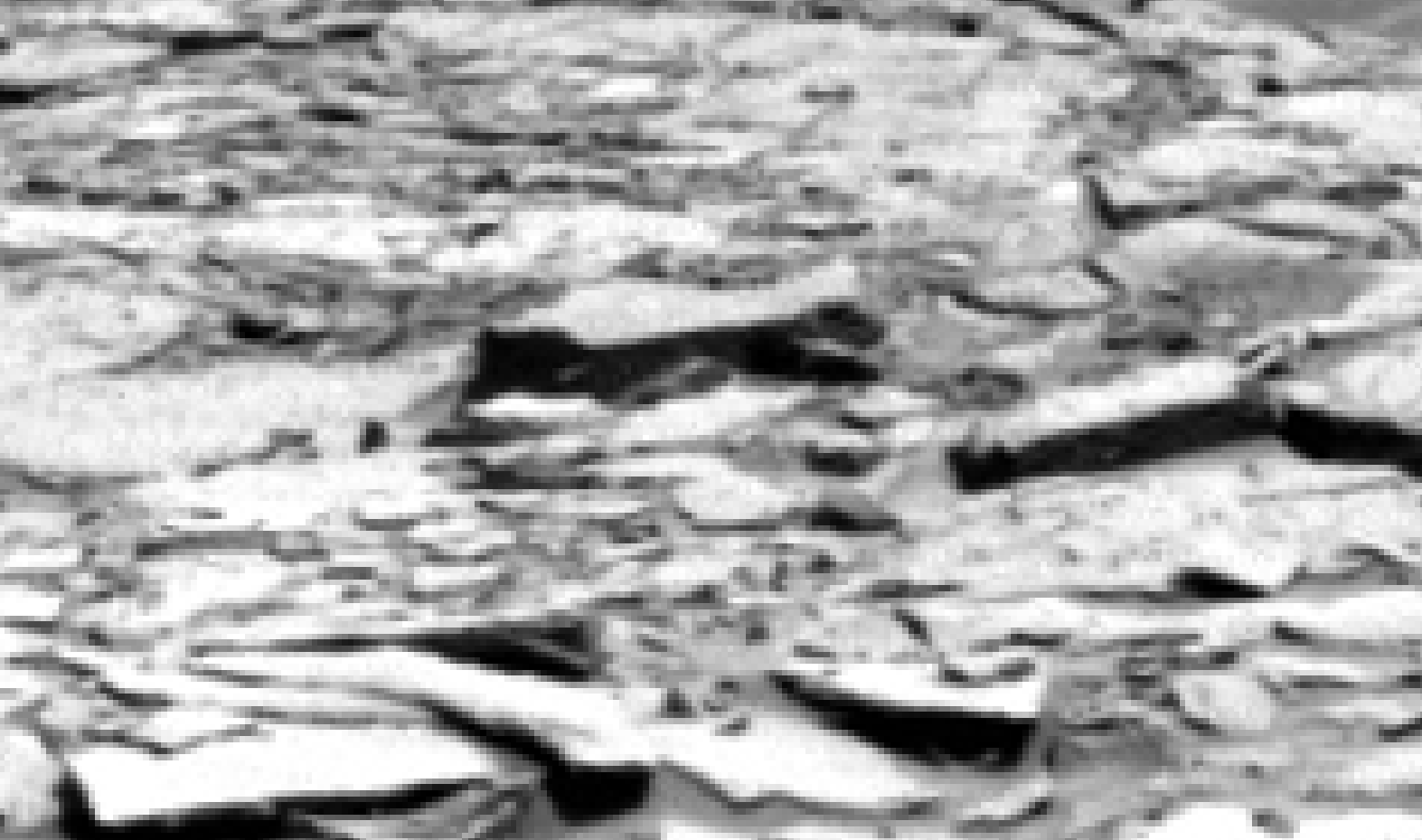 mars sol 1342 anomaly-artifacts 6 was life on mars