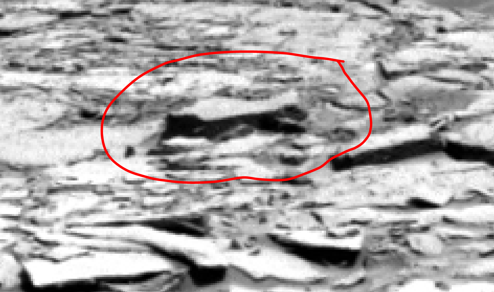 mars sol 1342 anomaly-artifacts 6a was life on mars
