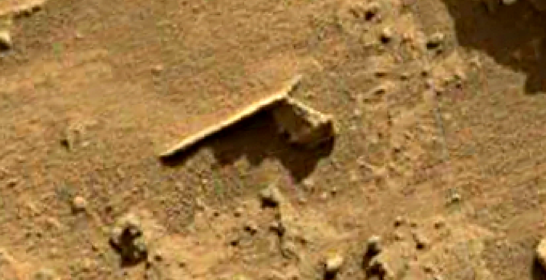 mars sol 1349 anomaly-artifacts 1 was life on mars