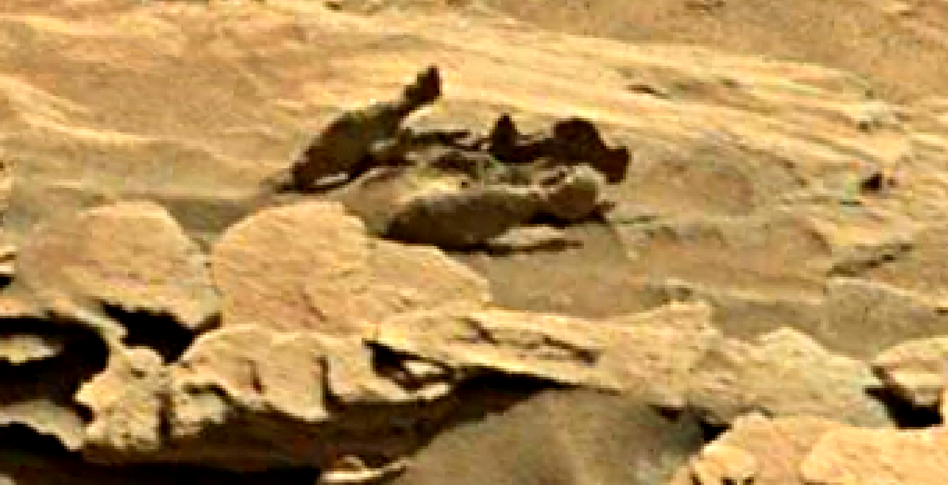 mars sol 1349 anomaly-artifacts 3 was life on mars