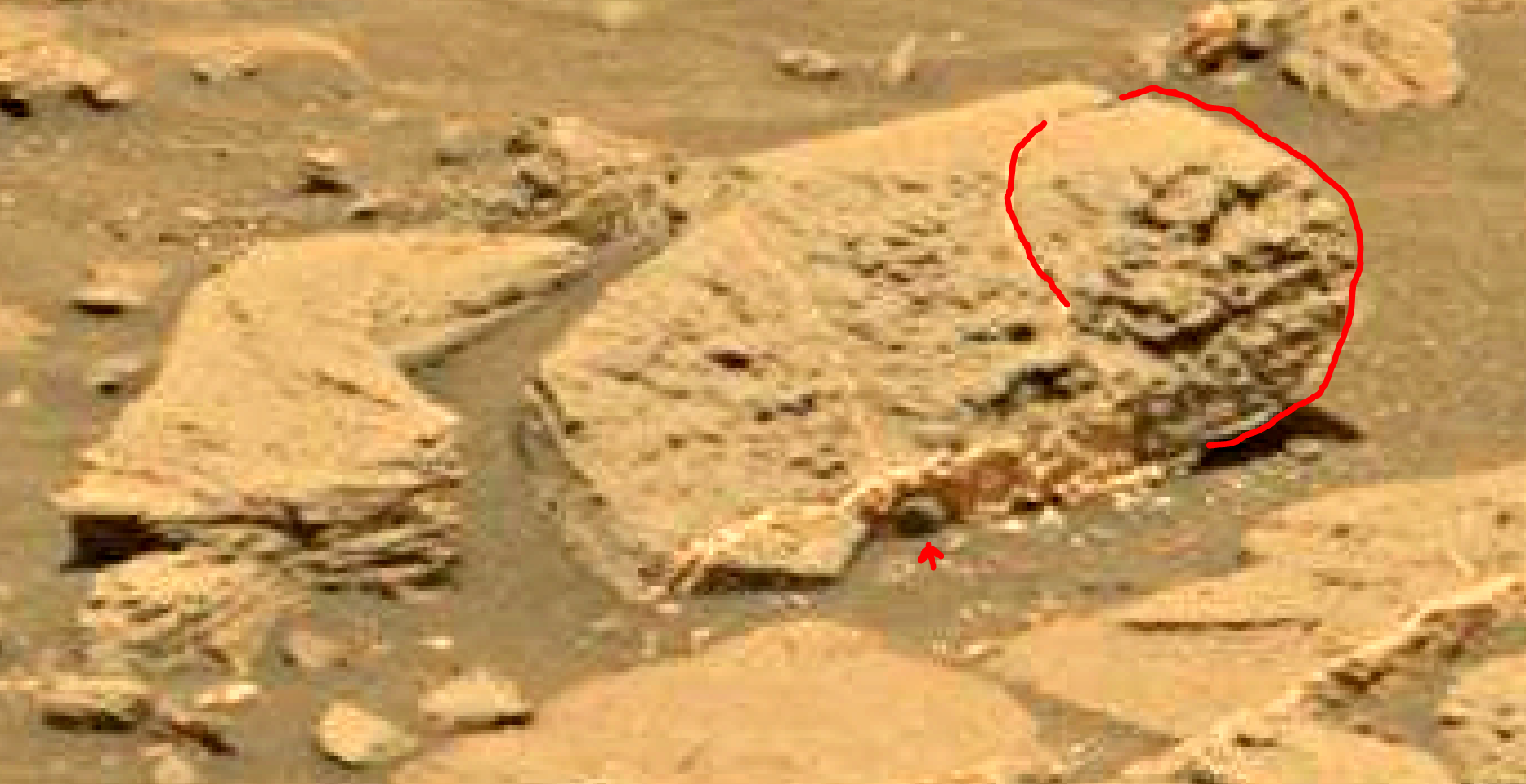 mars sol 1353 anomaly-artifacts 23a was life on mars