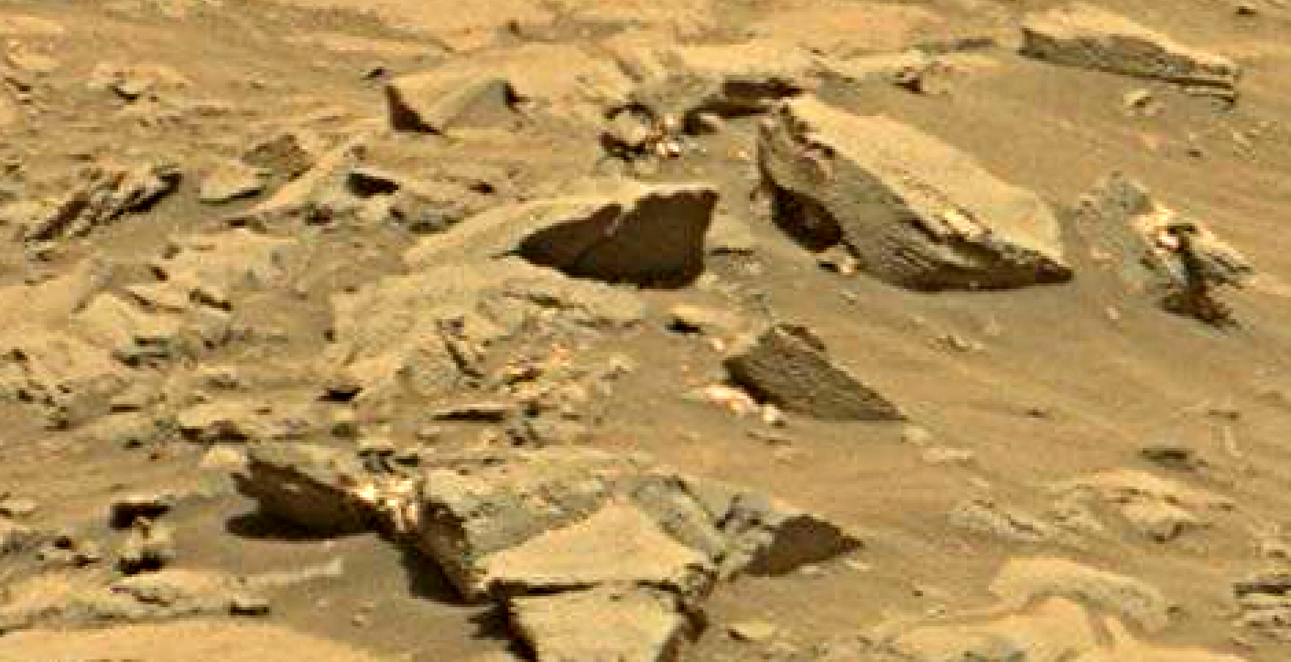 mars sol 1353 anomaly-artifacts 41 was life on mars