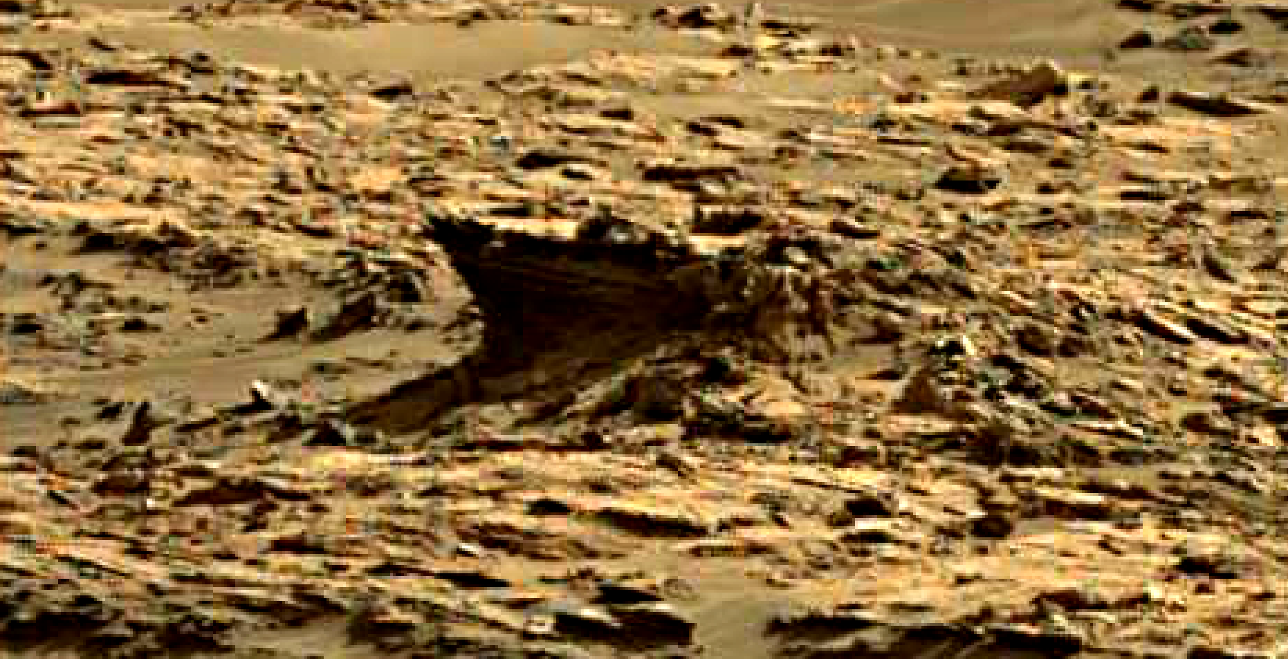mars sol 1376 anomaly-artifacts 2 was life on mars
