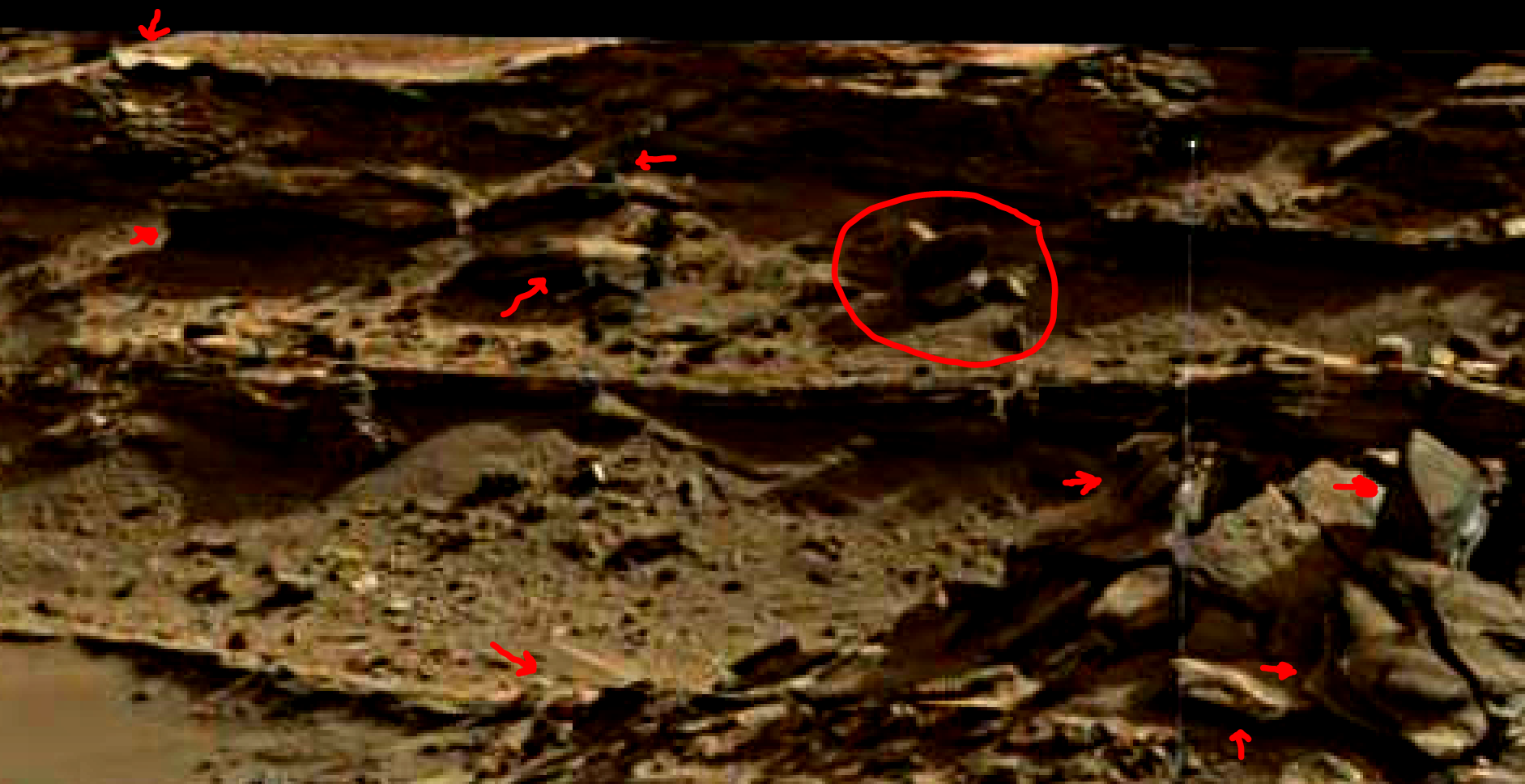 mars sol 1376 anomaly-artifacts 4-1 was life on mars