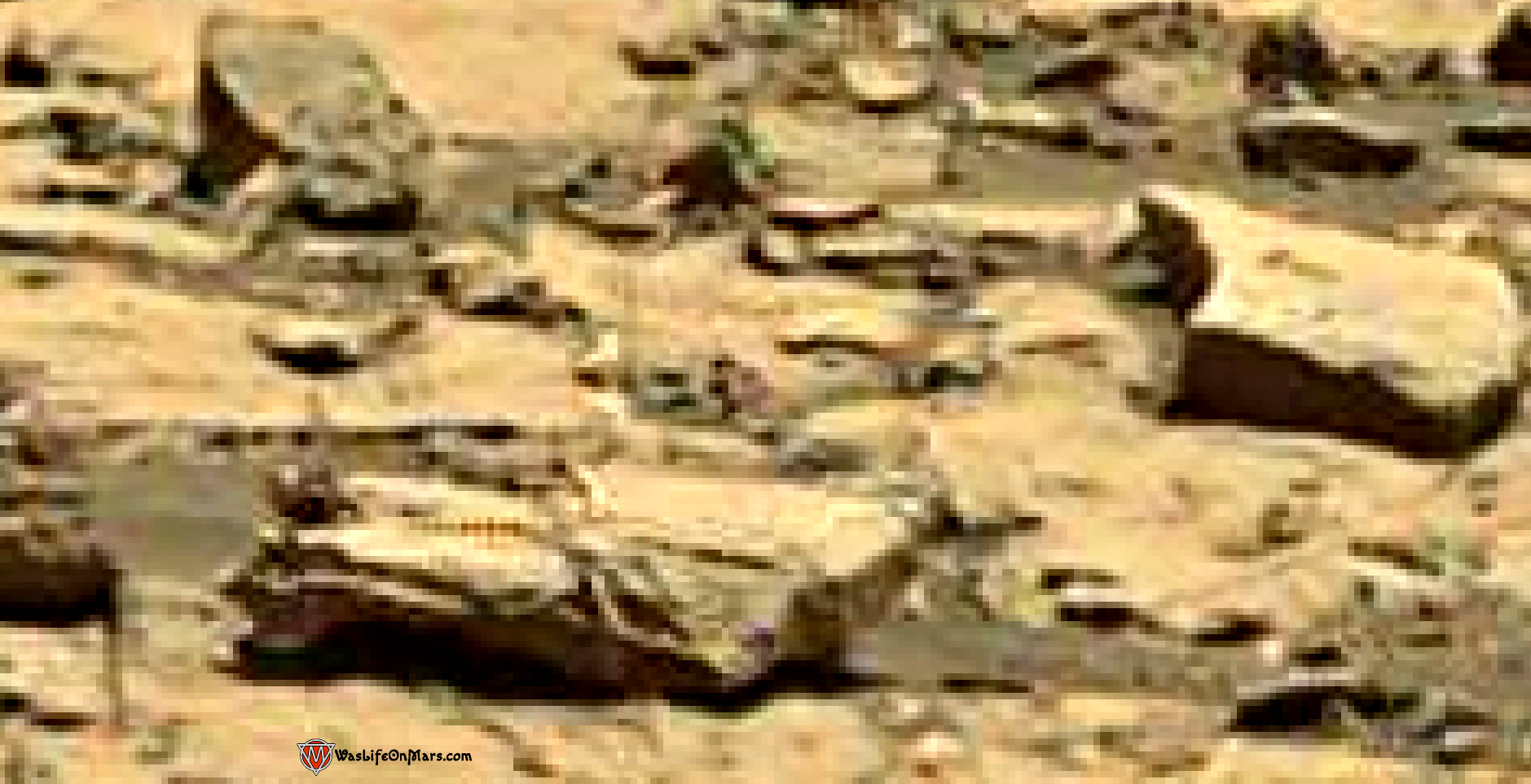mars sol 1428 anomaly artifacts 1aa - the spider - was life on mars