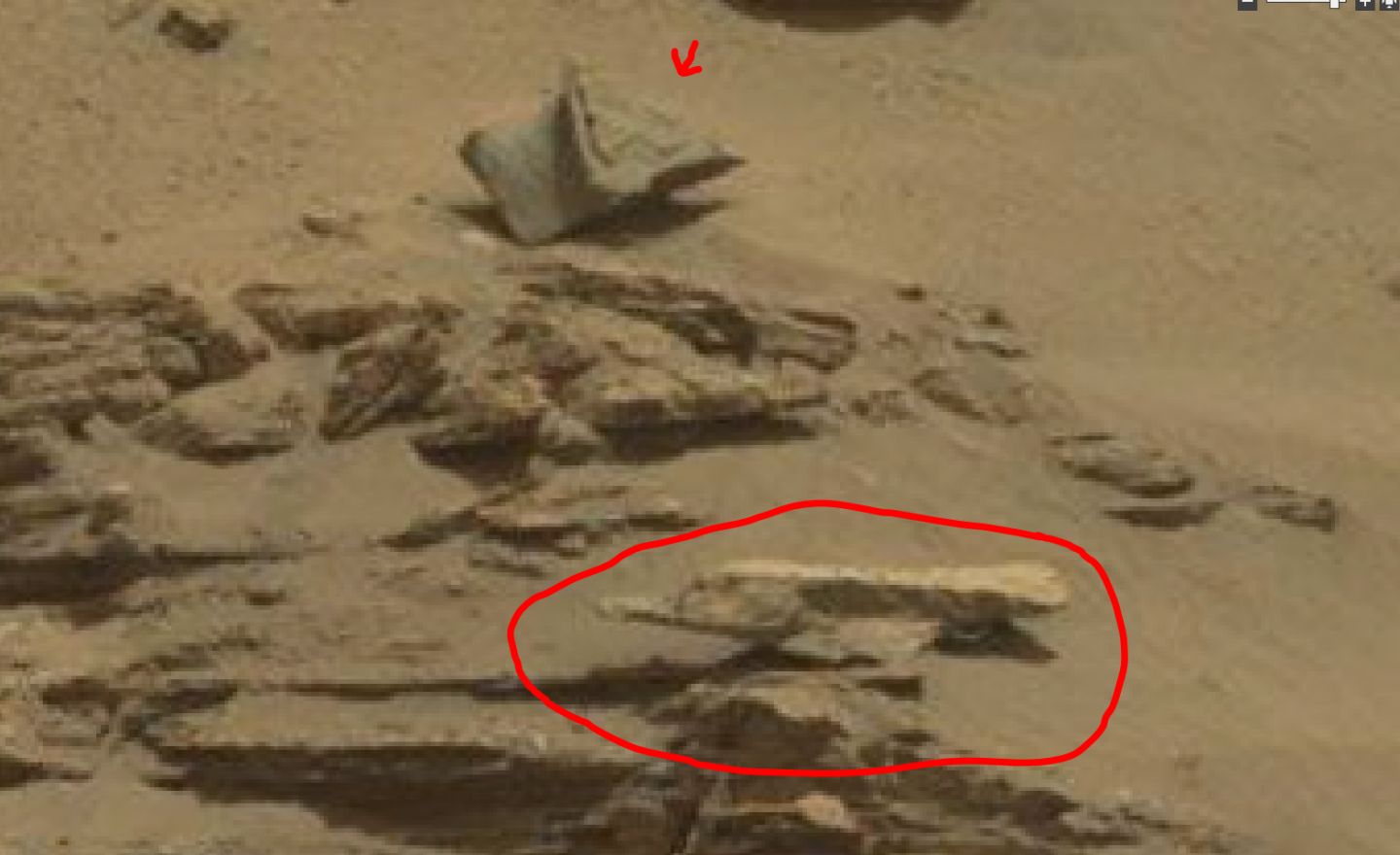 Mars anomalies - bird like stone