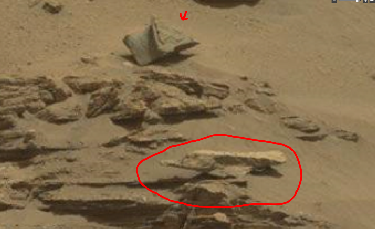 mars sol 1432 bird anomaly artifacts - was life on mars