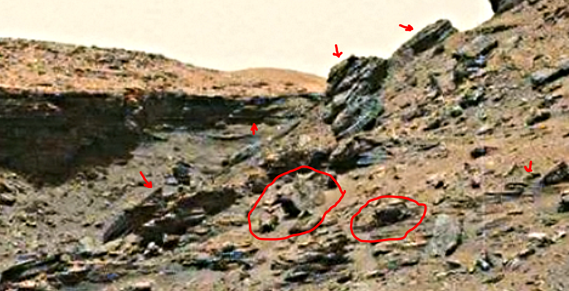 mars sol 1432 b&w anomaly artifacts 14 was life on mars
