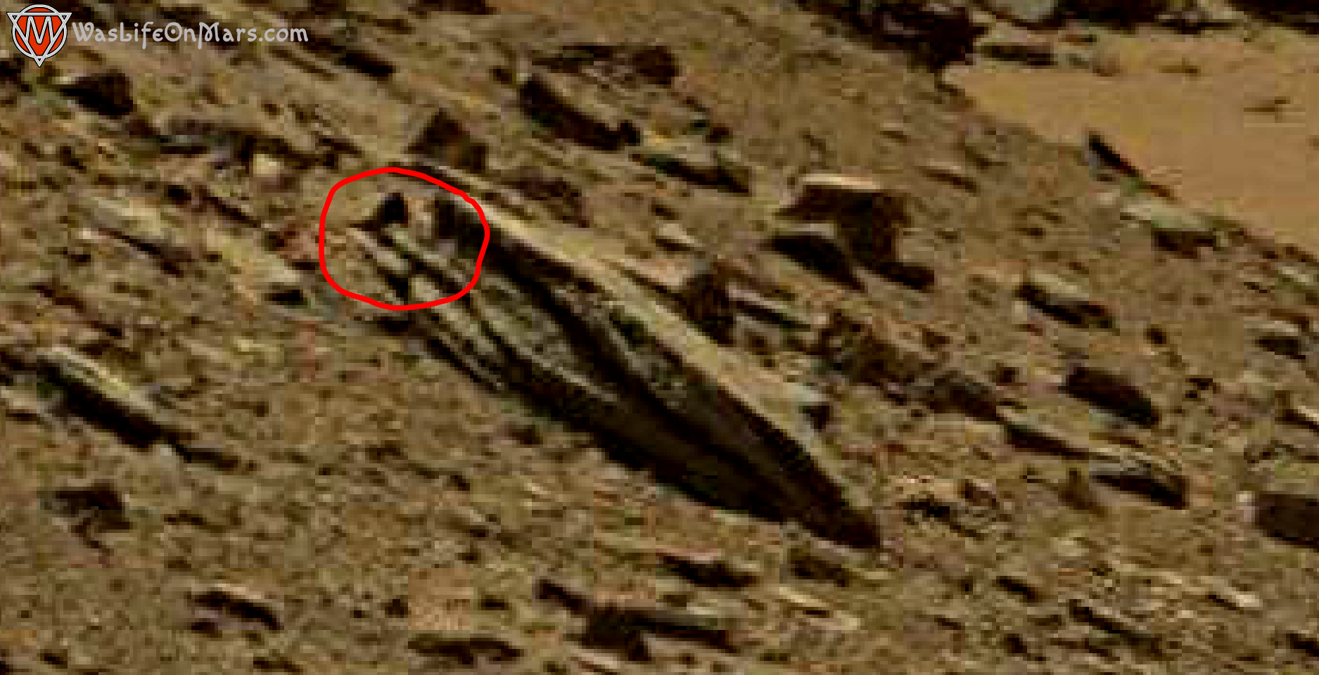 mars sol 1434 anomaly artifacts 1a2 was life on mars