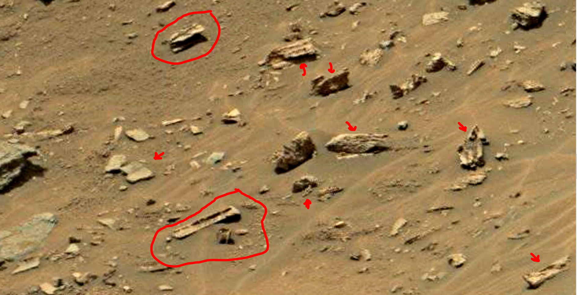 mars sol 1447 anomaly artifacts 9 - was life on mars