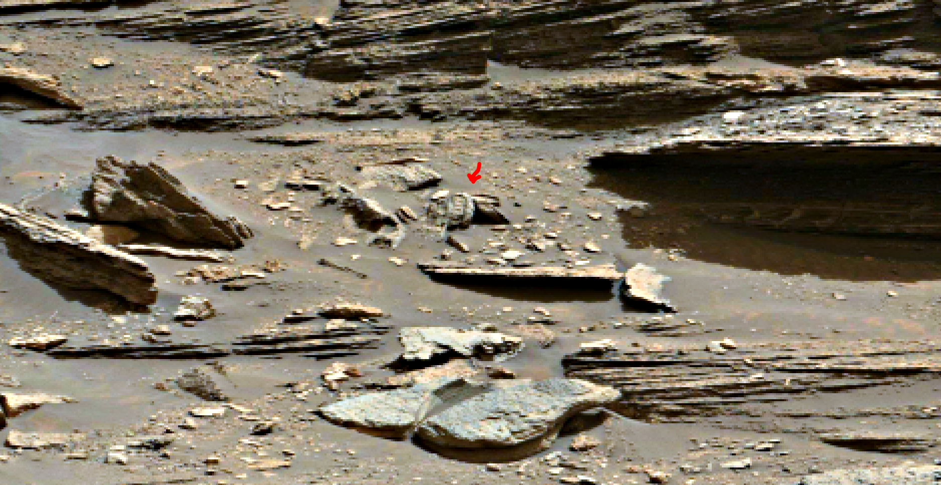 mars-sol-1448-anomaly-artifacts-17-was-life-on-mars