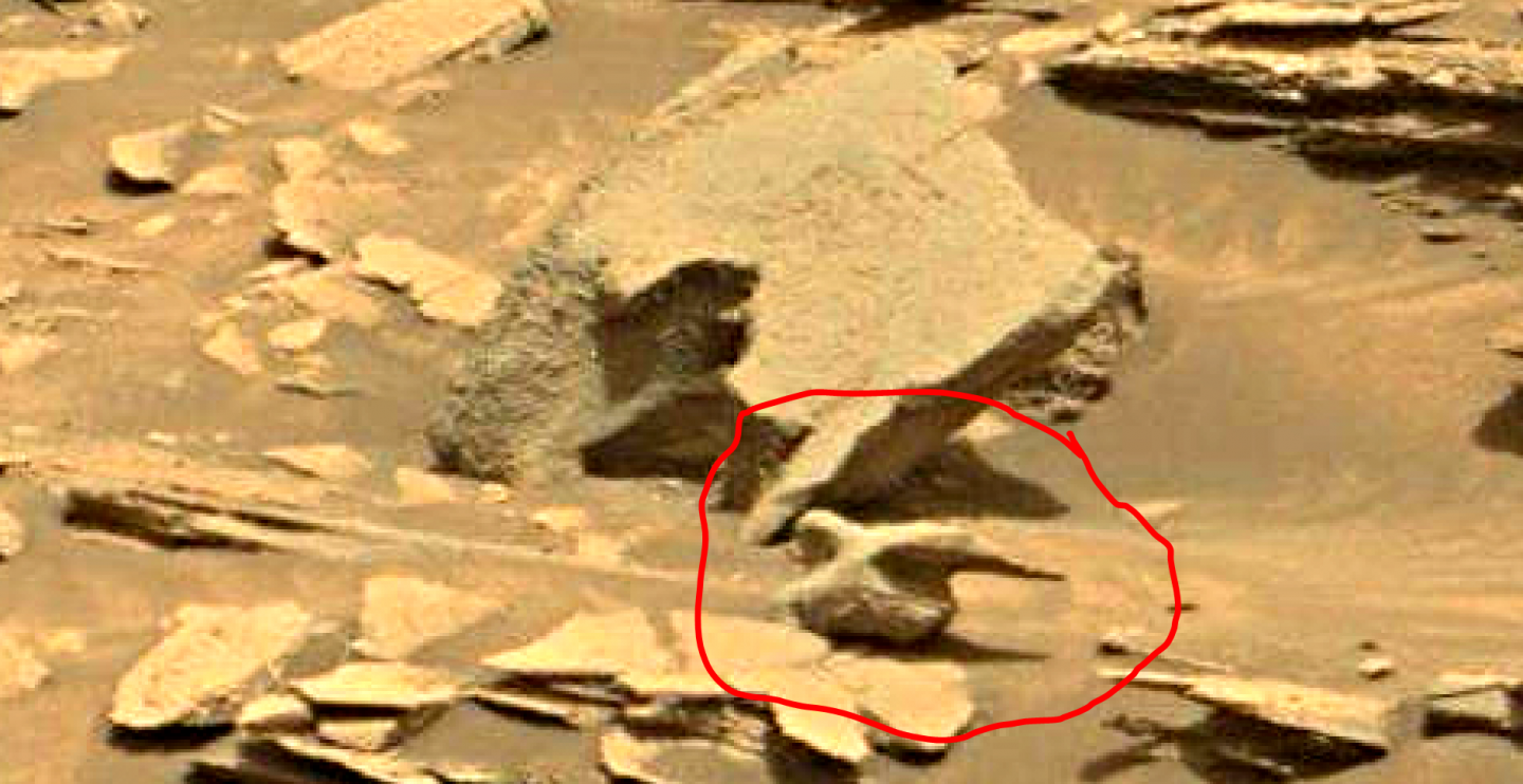 Mars anomalies - symmetrical artifact