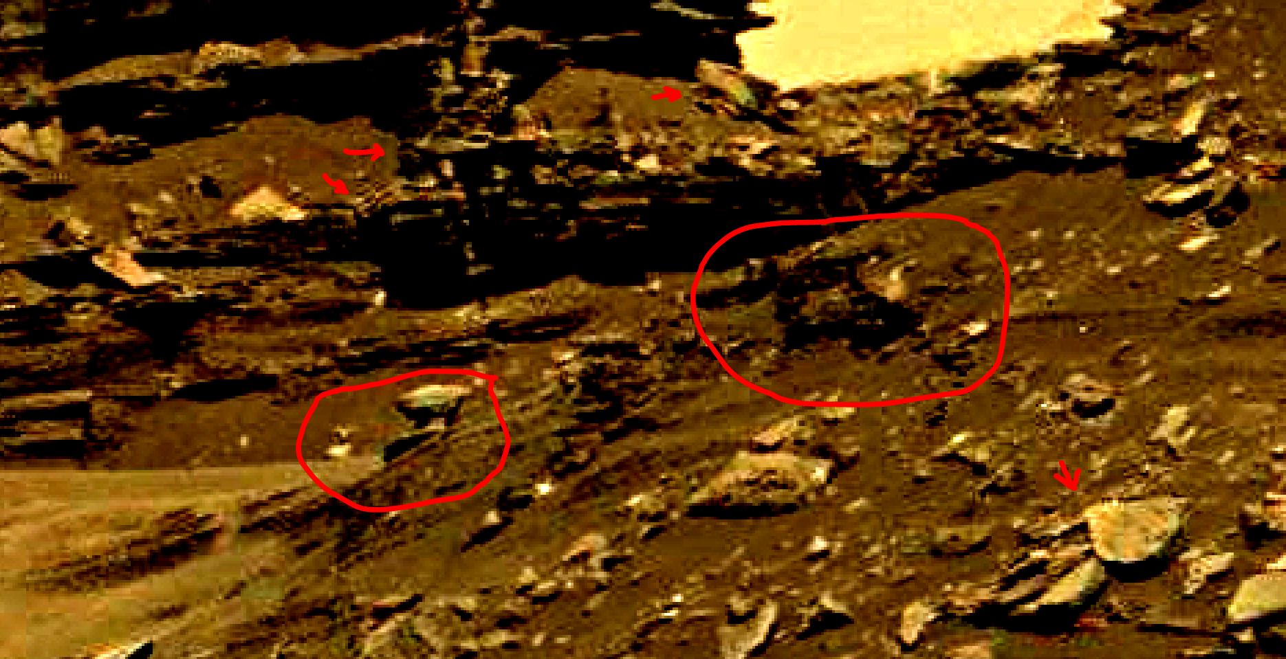 mars-sol-1454-anomaly-artifacts-22a-was-life-on-mars