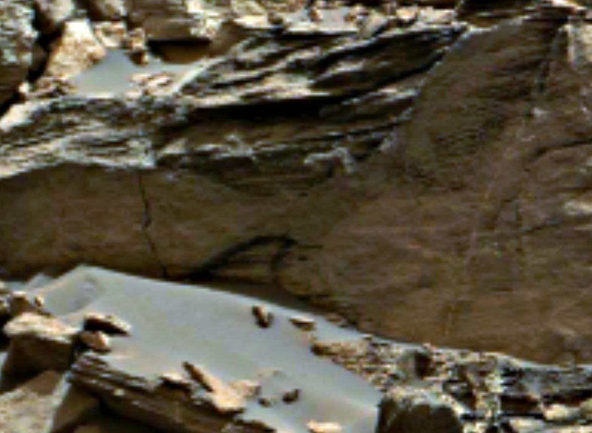 was-life-on-mars-fin-anomaly-2