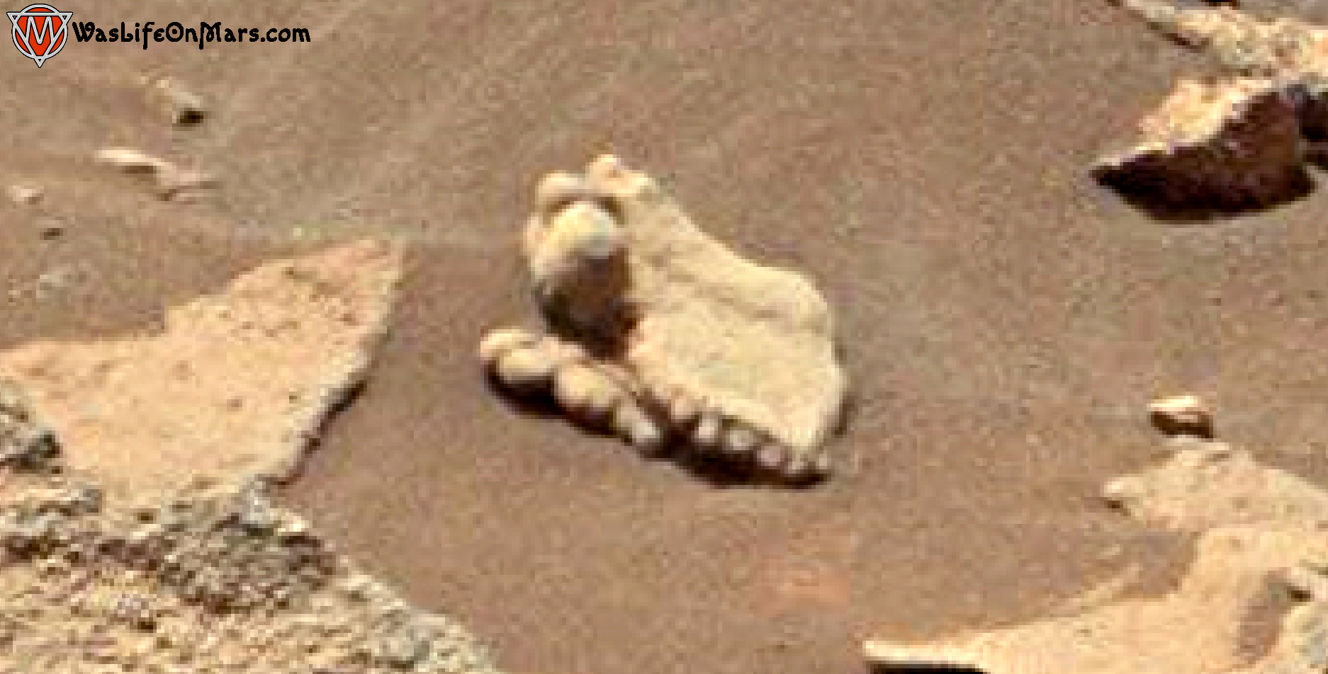 mars-sol-1459-anomaly-artifacts-1-was-life-on-mars