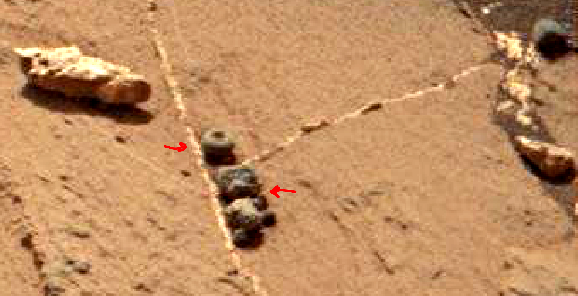 Mars anomalies - small baby creature 