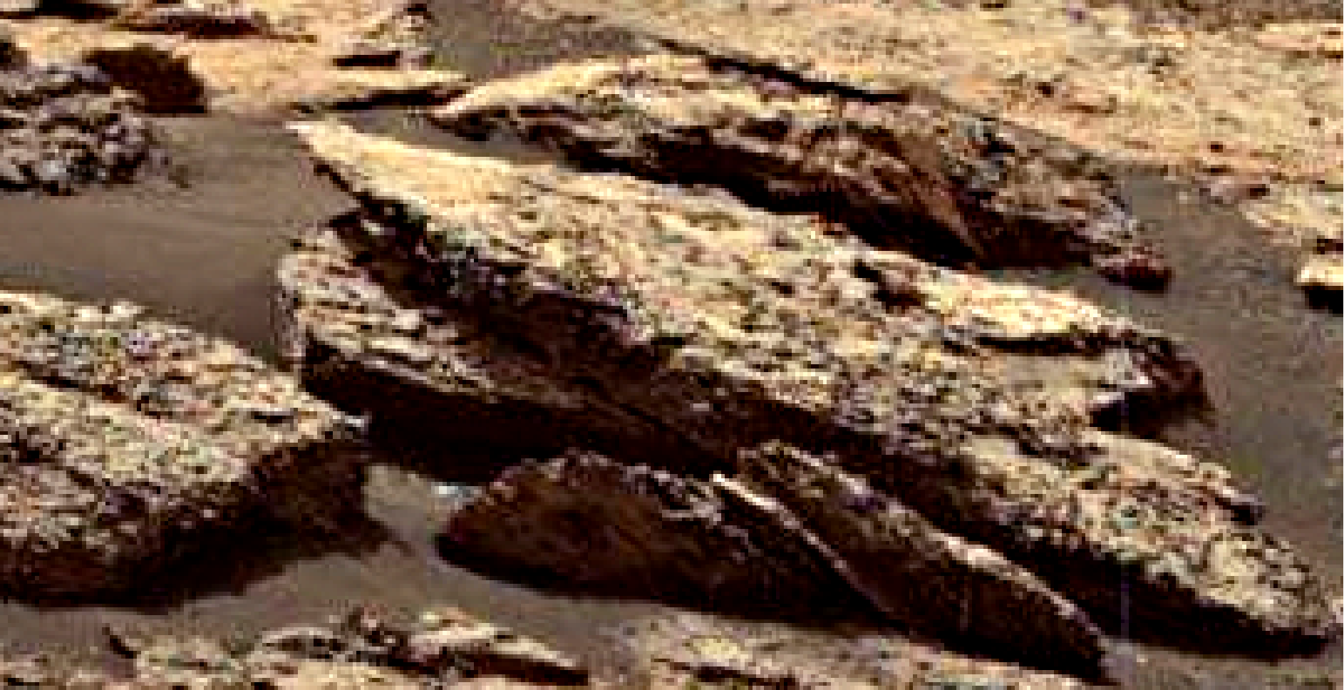 mars-sol-1485-anomaly-artifacts-1-was-life-on-mars
