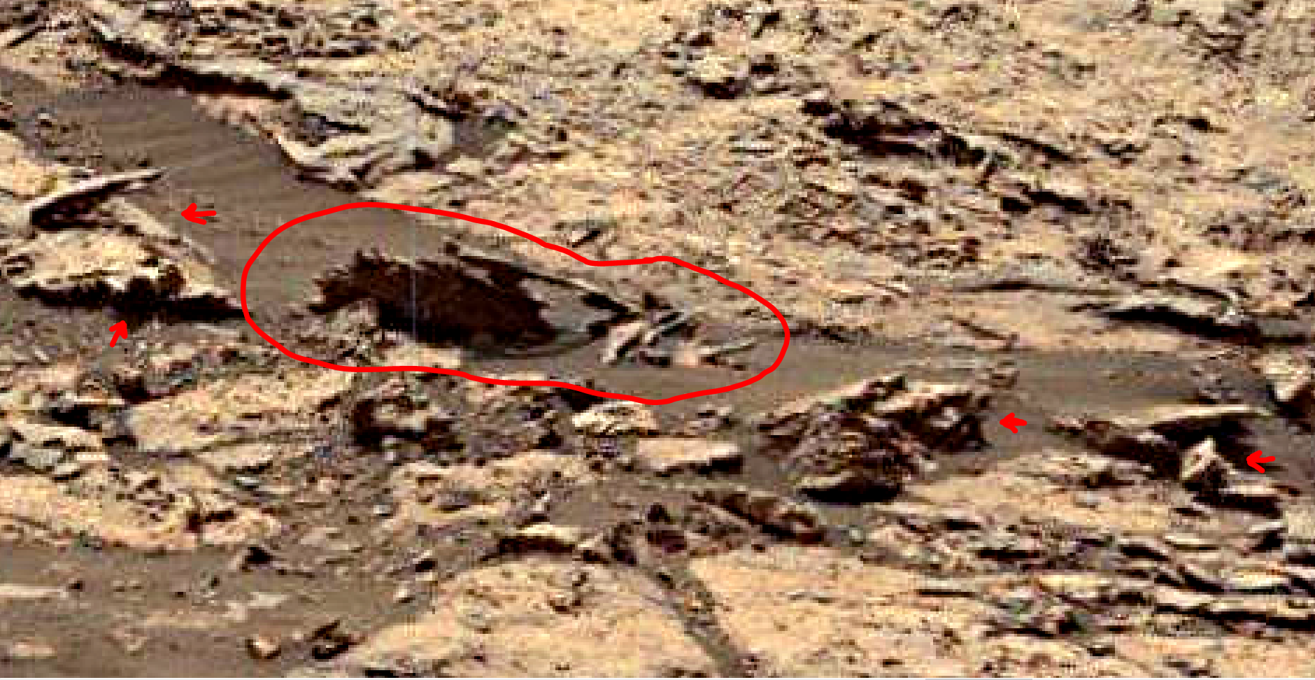 mars-sol-1485-anomaly-artifacts-15-was-life-on-mars